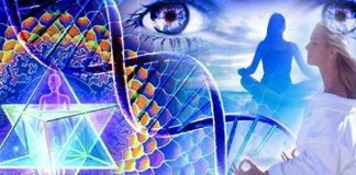 La Requête de votre Âme : Votre Nouveau Départ